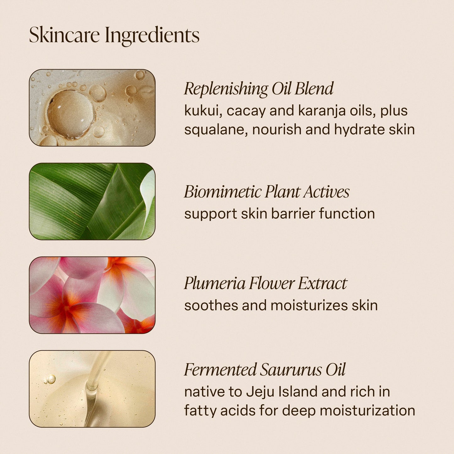 Coral Coast - Body Oil