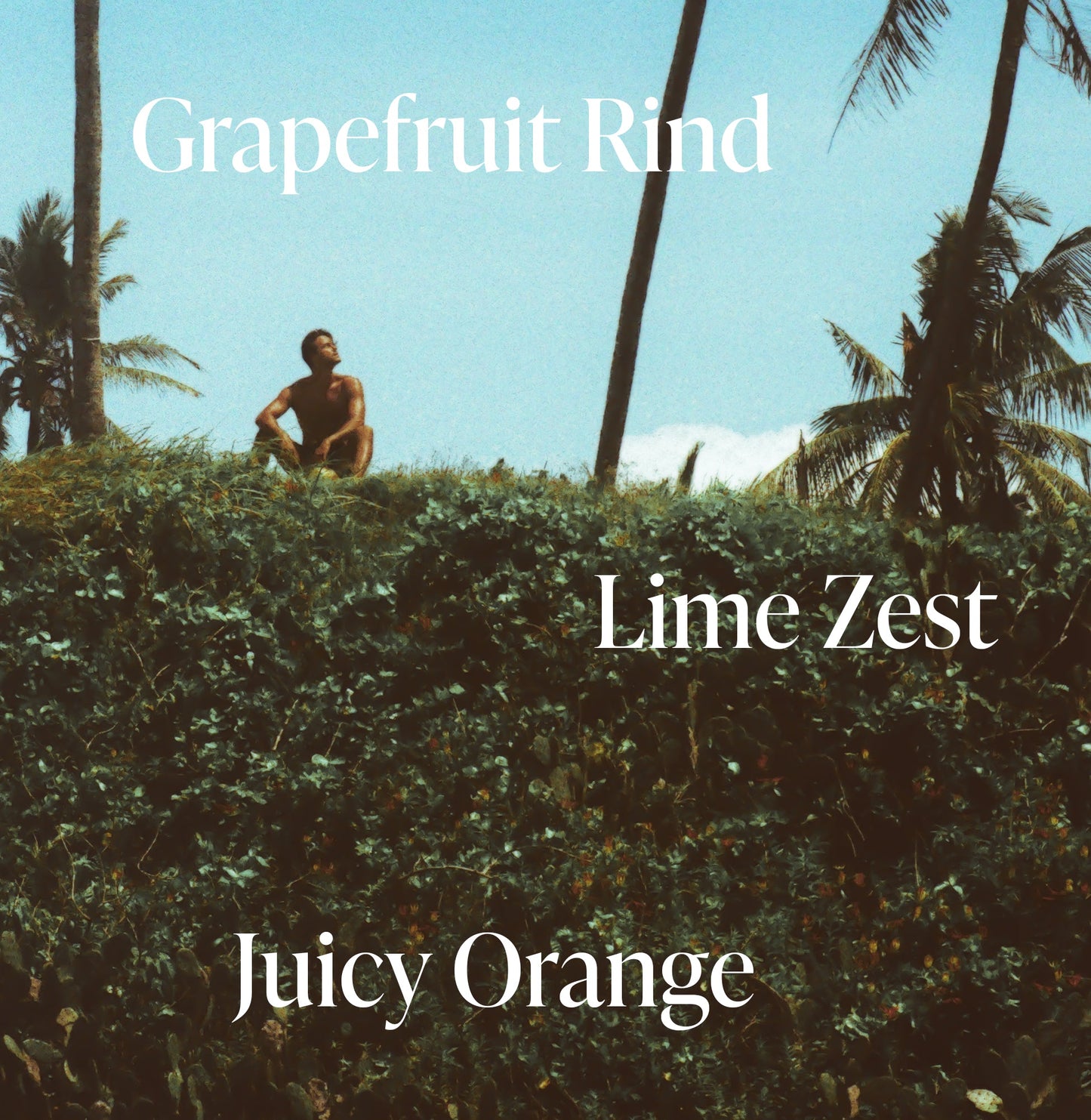 Green Grapefruit - Trio