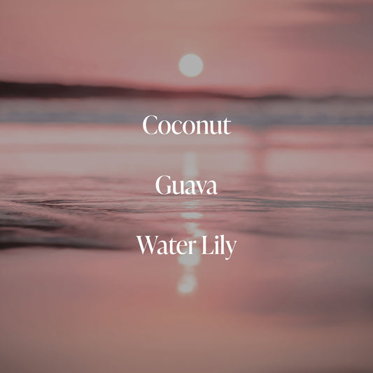 Coral Coast - Body Duo