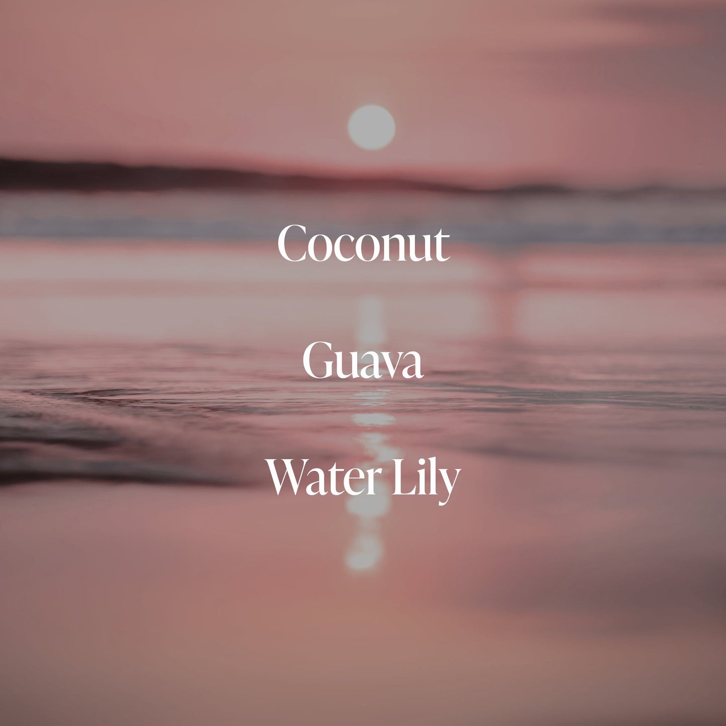 Coral Coast - Cleanse & Hydrate Bundle